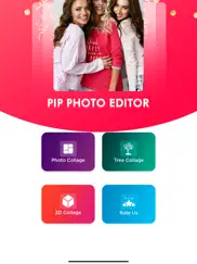 pip photo editor ipad images 2