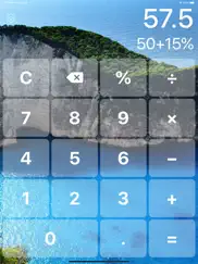 big button calculator pro ipad images 2