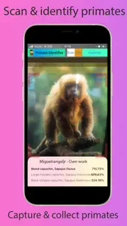 primate identifier iPhone Captures Décran 2