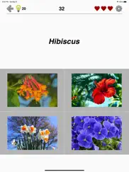 Çiçekler: bitkileri tanımlayın ipad resimleri 4
