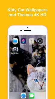 kitty cat wallpapers 4k hd iphone images 1
