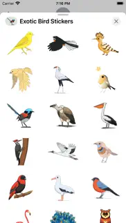 exotic bird stickers iphone images 3