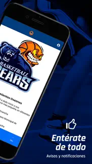 academia basketball bear iphone images 3