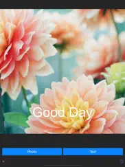 have a good day - image editor ipad images 1