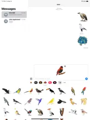 exotic bird stickers ipad images 3