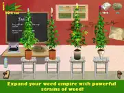 weed firm: replanted ipad images 1