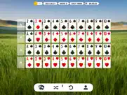 addiction solitaire. ipad images 2