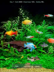 tropical fish tank - mini aqua ipad images 1