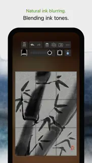 zen brush 3 iphone capturas de pantalla 3