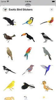 exotic bird stickers iphone images 2