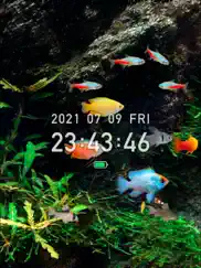 tropical fish tank - mini aqua ipad images 4