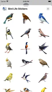 bird life stickers iphone images 2