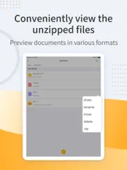 unzip expert-zip file tool айпад изображения 2