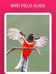 birdlens - identify birds app ipad images 3