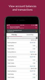 cibc mobile business iphone images 2