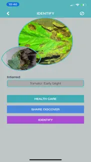 tomato diseases identification iphone images 3