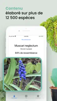 plant id match - reconnaitre iPhone Captures Décran 4