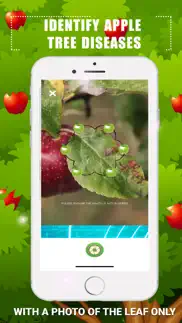 identify apple tree diseases iphone resimleri 2