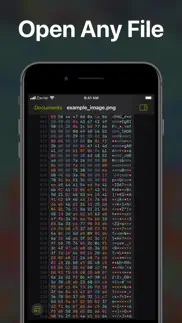 hexer — hex file viewer iphone images 1