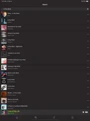 music library - mp3 player iPad Captures Décran 3