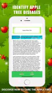 identify apple tree diseases iphone resimleri 4