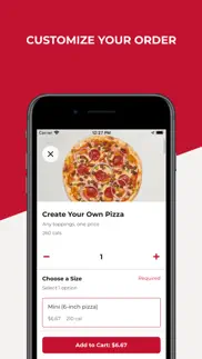 mod pizza iphone images 3