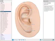 auriculo 360 - the living ear ipad images 3