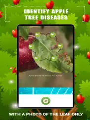 identify apple tree diseases ipad resimleri 2