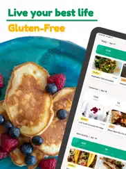 gluten-free diet meal plan ipad images 1