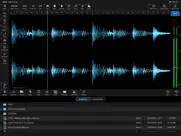neon audio editor iPad Captures Décran 1