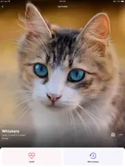 meowtalk cat translator ipad resimleri 3
