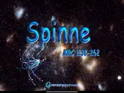 spinne ipad images 1