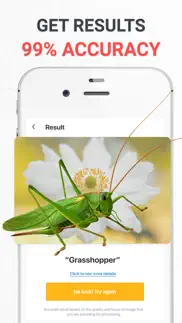 insect photo identifier ai iphone resimleri 2