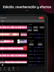 editor de audio tool - pro ipad capturas de pantalla 2