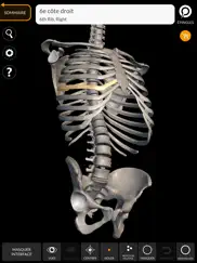 squelette anatomie 3d iPad Captures Décran 1