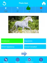 learn horse knowledge ipad resimleri 3
