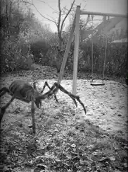 ar spiders айпад изображения 4