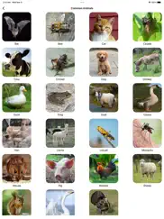 animal sounds & bird noises` ipad images 2