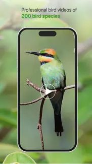 birdly - birdlife australia iphone images 4