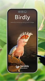 birdly - birdlife australia iphone images 1