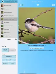 cui-cui! chants d'oiseaux iPad Captures Décran 2