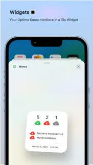 wuma - uptime kuma empower iPhone Captures Décran 2