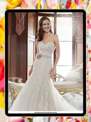 lovely wedding dress montage ipad images 3
