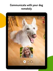 barkio: dog monitor & pet cam ipad resimleri 2