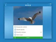 oiseaux 2 pro iPad Captures Décran 4