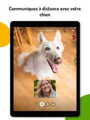 barkio: moniteur pour chien iPad Captures Décran 2
