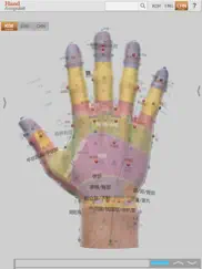 hand acupuncture ipad resimleri 3