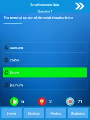 digestive system physiology ipad images 3