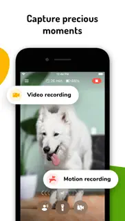 barkio: dog monitor & pet cam iphone images 4