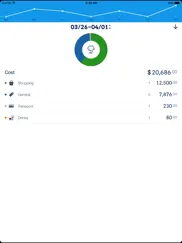 dailycost － expense tracker ipad images 2